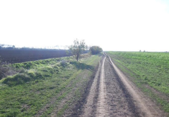 COTA 2/16 teren extravilan agricol 9135 mp, Popesti Leordeni