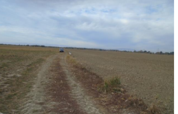 Cota de 1/4 din Teren agricol extravilan agricol, Com.Vanatori, jud. Vrancea