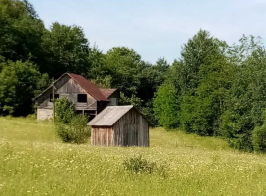 Teren extavilan si cabana in Telcisor, jud. Bistrita Nasaud