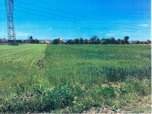 Cotă de 1/2 din teren extravilan arabil, com. Vadu Moldovei, județul Suceava 6387596