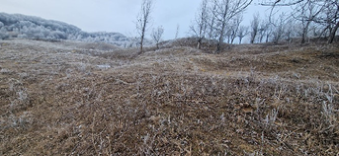 Teren extravilan, Pasune, 1209mp, Valea Salciei, judetul Buzau-6114775