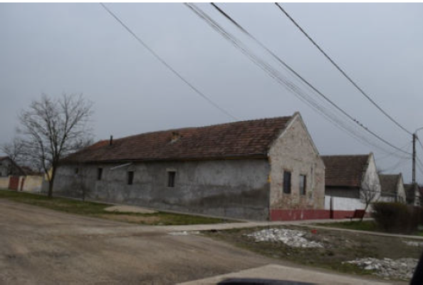 Casa regim P si teren intravilan situata in jud Timis  loc. Cenei