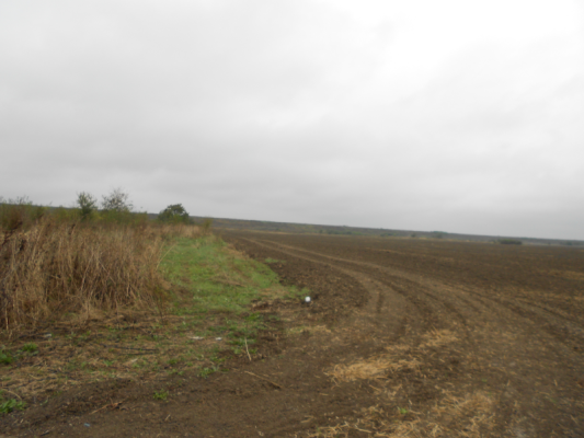 Teren intravilan - agricol Cornetu, Ilfov