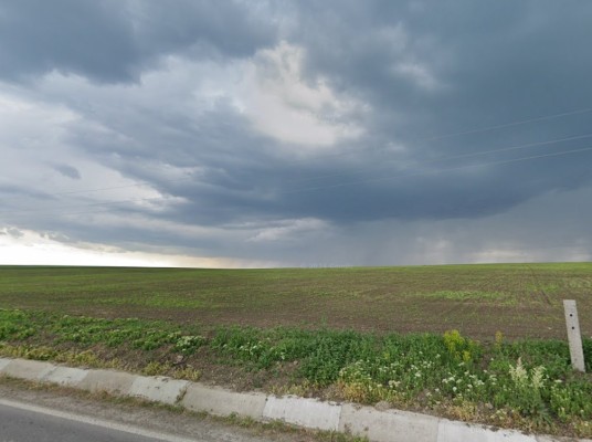 Cota 1/4 din teren agricol, Loc. Iepureni, Com.Movileni, Jud.Iasi