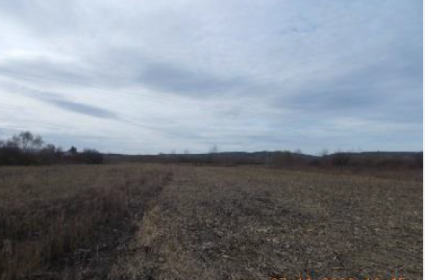 Teren agricol faneata in extravilan in suprafata de 8700 mp situat in sat Jupa mun Caransebes
