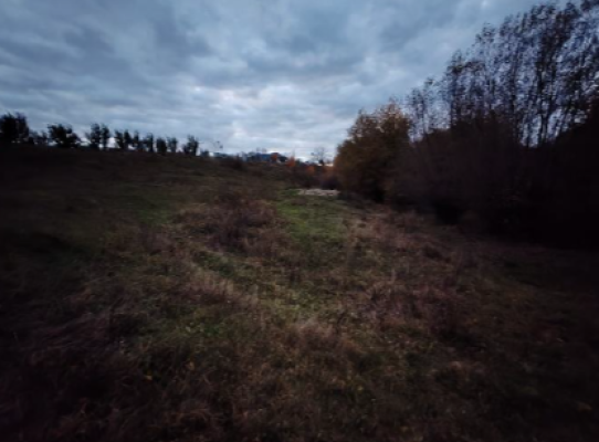 Teren extravilan în Comuna Zvoriștea, județul Suceava