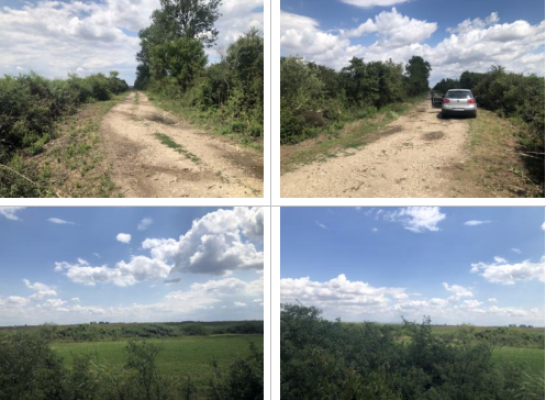 Teren 2336 mp extravilan agricol – Madarás, Bihor