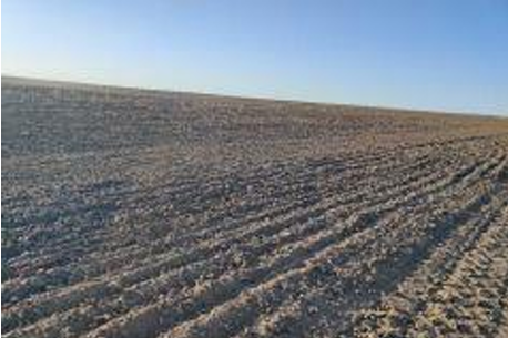 Cota 1/2 din teren extravilan arabil 10.000 mp, Lehliu, judetul Calarasi-5740862