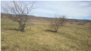 Teren extravilan 7213mp, Polovragi, judetul Gorj-6070467