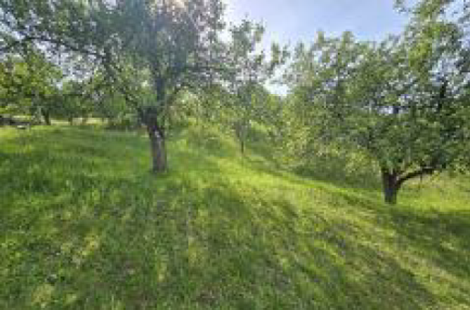 Teren extravilan 7917 mp in Rona de Sus, jud Maramures