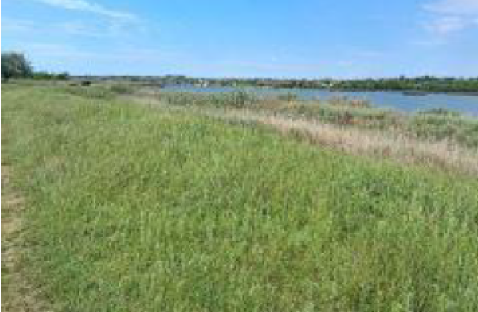 Teren intravilan, com. Tuzla, jud. Constanta 6686322