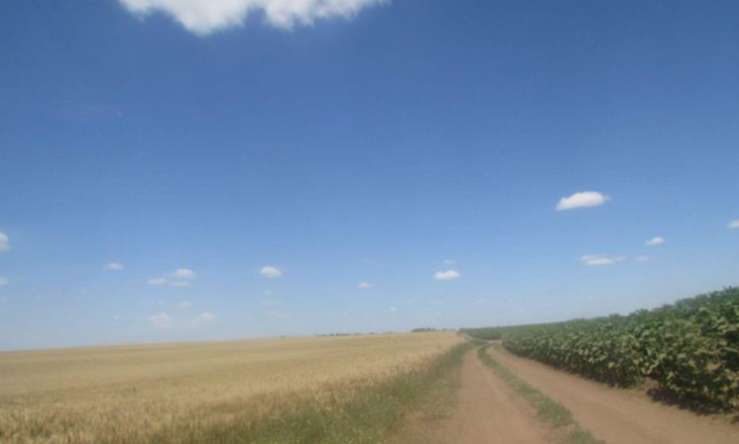 Cota de 8/40 din teren agricol extravilan, Ciulnița, Ialomița -15.000 mp