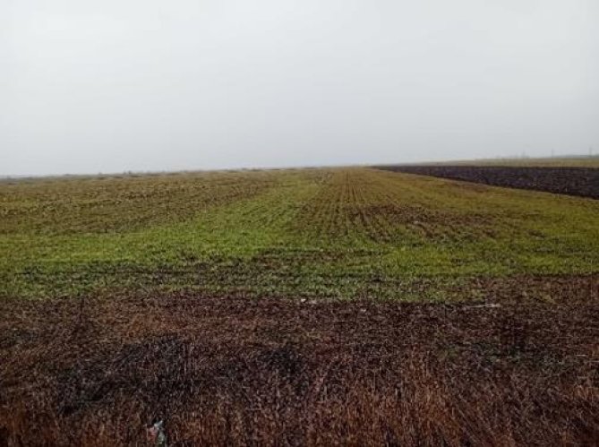 Cota 3/32 din teren extravilan situat in Movilita, judetul Ialomita-6732191