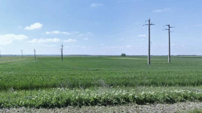 Teren agricol extravilan 10.000 mp – Municipiul Giurgiu, județul Giurgiu