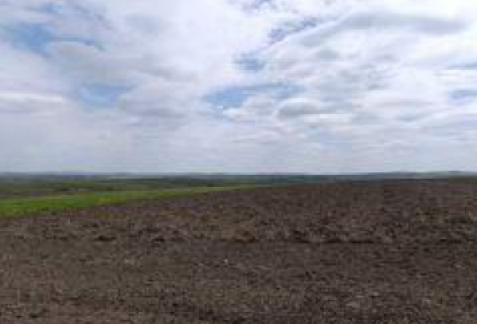 Cota 1/8 din teren arabil extravilan, Comuna Ciprian Porumbescu, județul Suceava