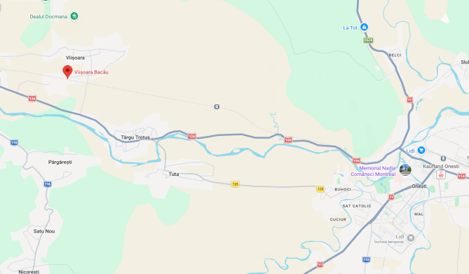 Teren parțial intravilan/extravilan, sat Viișoara, Jud. Bacău 5006311