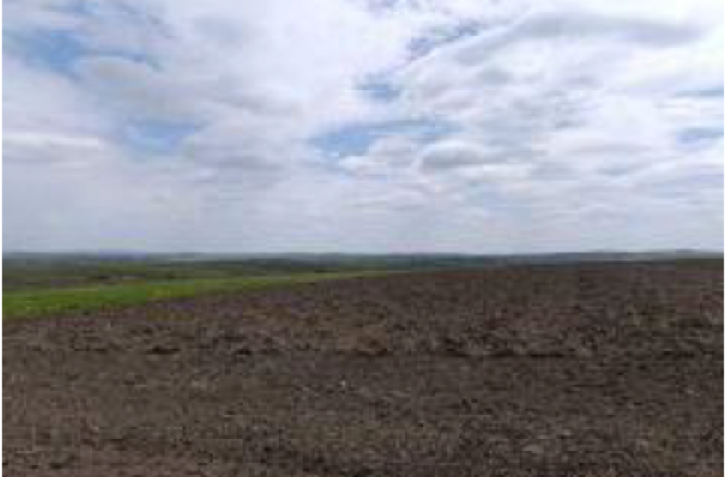 Cotă 1/8 din teren extravilan arabil in suprafata de 3960 mp, Comuna Ciprian Porumbescu, județul Suceava