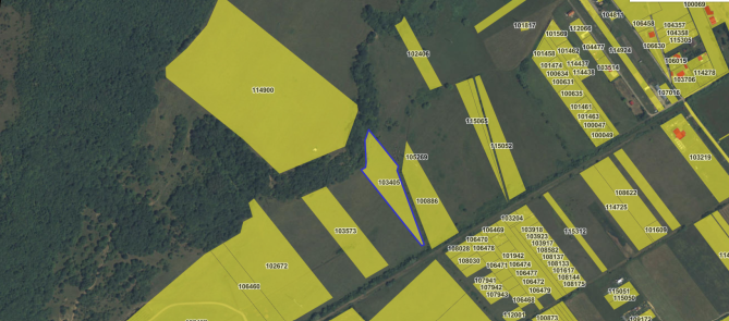 Teren extravilan 8100mp, Podu Olt, Harman, judetul Brasov