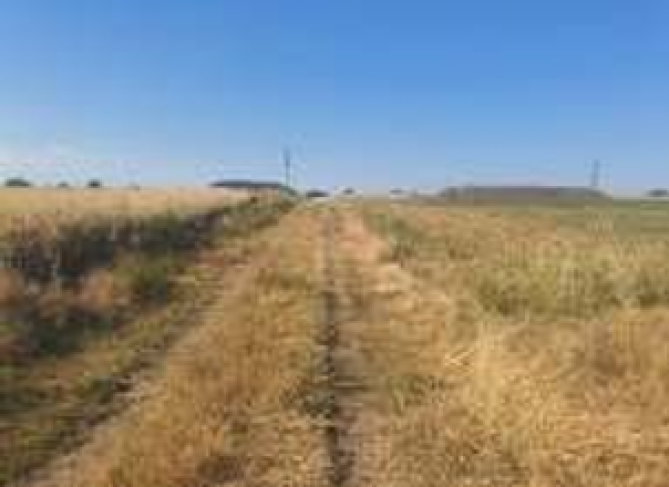 Teren extravilan – Comuna Agigea, județul Constanța 6498930