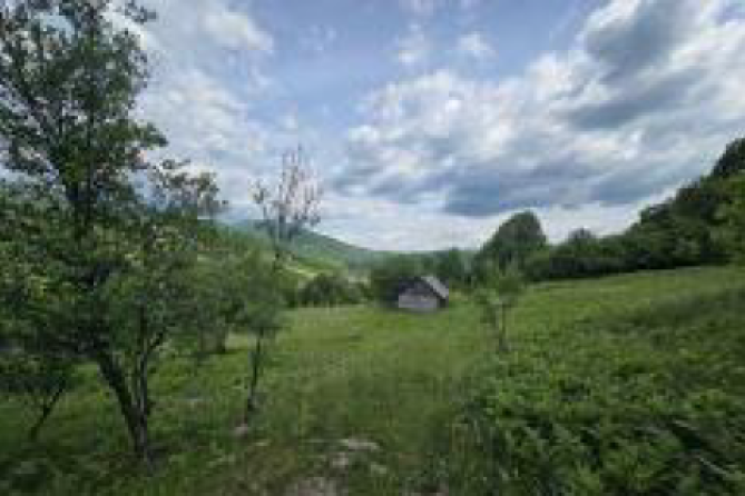 Teren extravilan 15743 mp in Rona de Sus, jud Maramures