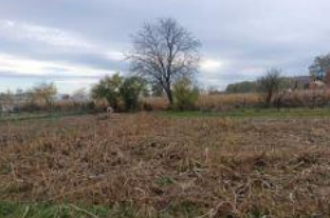 Cota 1/2 teren agricol – Slobozia, Orașul Roznov, Județul Neamț