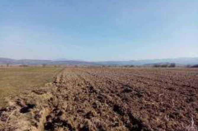 Cota 1/2 din teren 1589 mp, in Budacu de Jos, Jud Bistrița-Năsăud