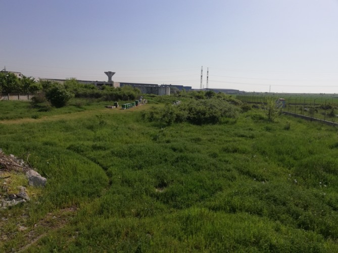 Teren extravilan S 5.250,96 mp, Slatina