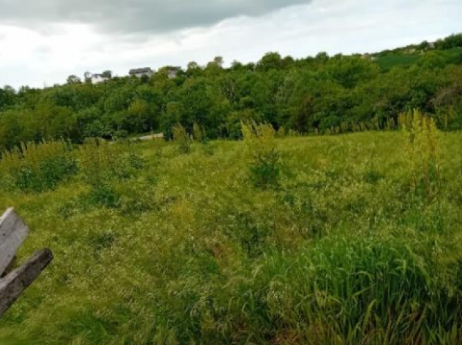 Teren intravilan 1.872 mp – Str. Plopilor, Sfințești, județul Teleorman