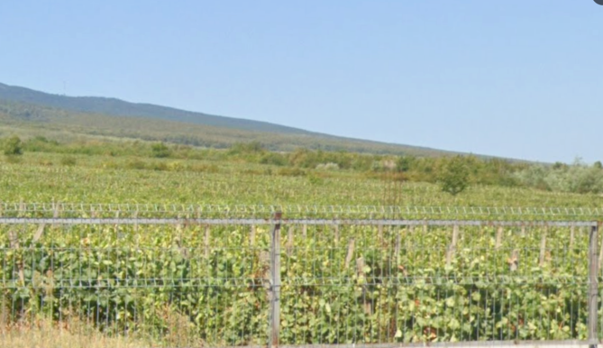 Teren extravilan – vie, Comuna Jariștea, județul Vrancea 6692073