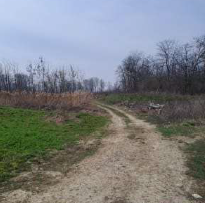 Teren agricol 2367 mp, partial intravilan, Contesti