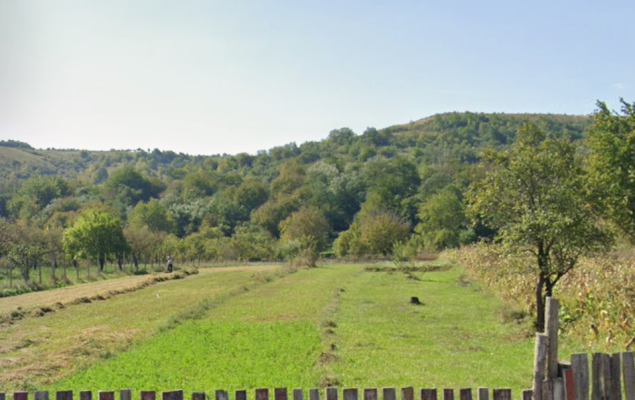 Teren intravilan arabil, Comuna Bârsești, Județul Vrancea 6713538