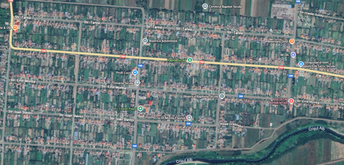 Vânzare imobil – casă și teren în Sicula, jud. Arad