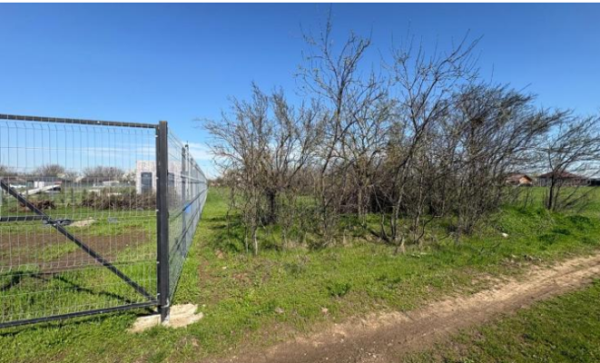 COTA DE 1/2 din teren intravilan Dascălu (IL) – 1.000 mp