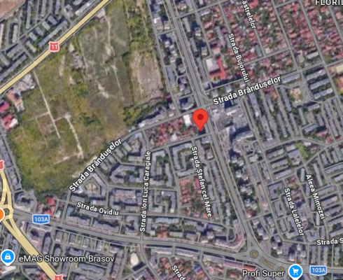 Drept de uzufruct viager asupra casă D+P+E+M și teren 733 mp, Brașov, Str. B.P. Hasdeu