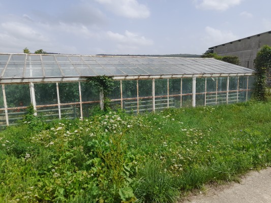 Teren 6200 mp si Hala productie + Centrala Termica, Teren 1800 mp + Hala, Silistea Noua, Suceava