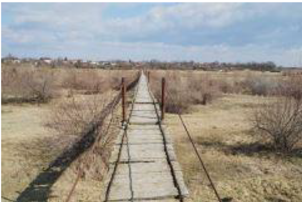 Cota de 1/2 din teren extravilan 10.000 mp – Comuna Albești‑Paleologu, sat Cioceni, Jud. Prahova