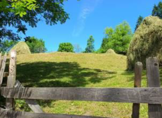 Teren intravilan com. Valea Doftanei, jud. Prahova 5788847