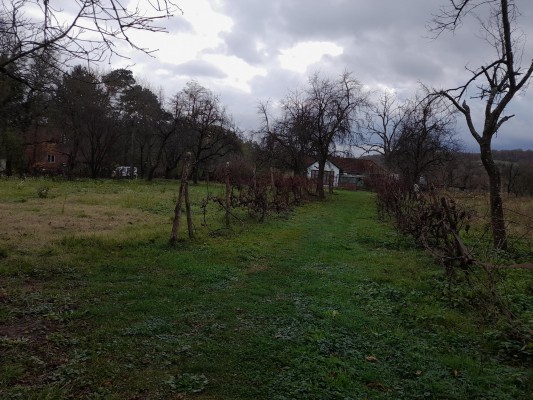 2 case de locuit in regim P si in regim de S+P+E+M si teren in suprafata de 7771 mp