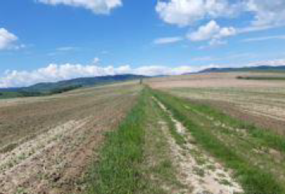 Teren arabil extravilan, com. Dobreni, jud. Neamt 6114774
