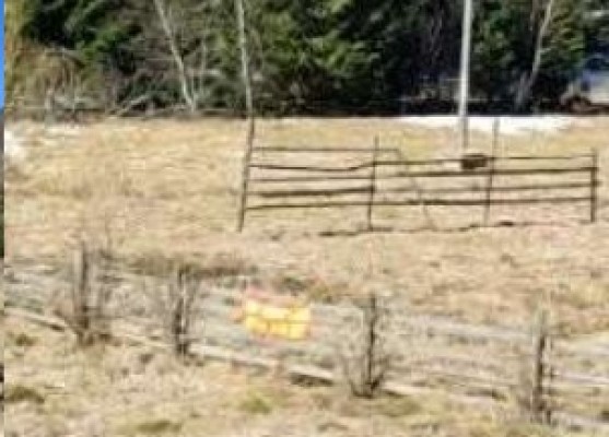 Cota de 1/2 din Teren agricol intravilan si extravilan, Sat Valea Bancului, Com Cosna, Jud. Suceava