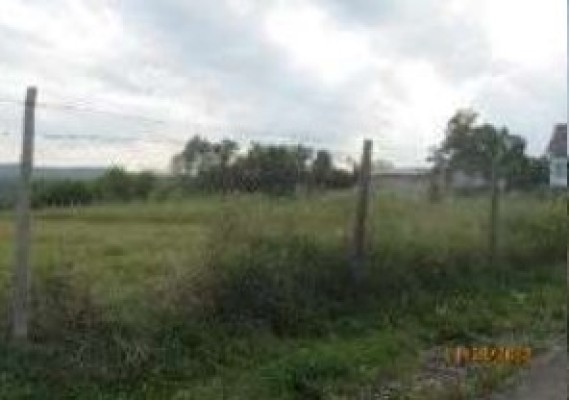 Teren agricol intravilan, Loc.Bogata, Com. Baia, Jud. Suceava