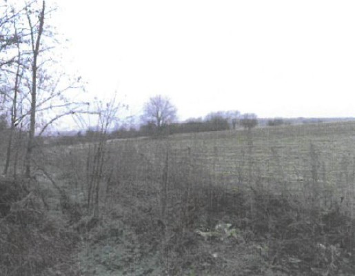 Teren intravilan agricol, Com.Bargauani, Jud.Neamt