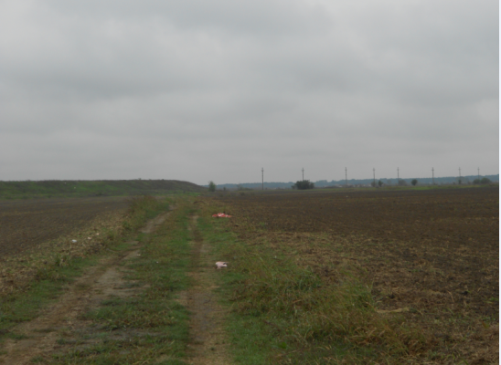 Teren intravilan-agricol, Cornetu, Ilfov