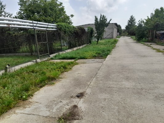 Teren 6200 mp si Hala productie + Centrala Termica, Teren 1800 mp + Hala, Silistea Noua, Suceava