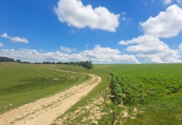 Teren agricol extravilan agricol, Com.Siretel, Jud.Iasi