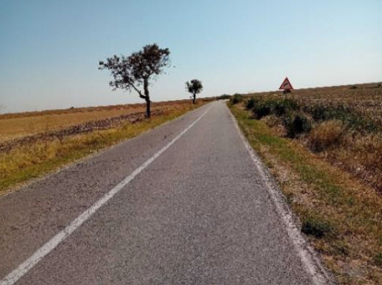 Cota de 1/4 din teren agricol extravilan – 5.710 mp – Loc. Chirnogi, jud. Călărași