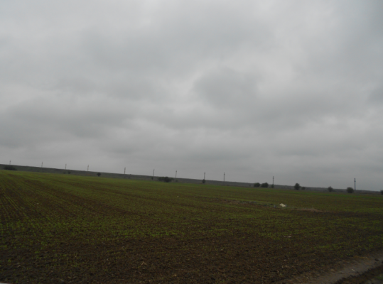 Teren agricol intravilan, sat Cornetu, Ilfov
