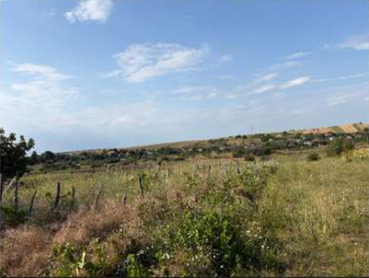 Teren extravilan agricol ~3.600 mp, Lacrita Mare, Robinesti, judetul Dolj-6999343