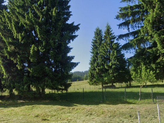 Teren agricol intravilan, Loc. Vatra Dornei, Jud. Suceava