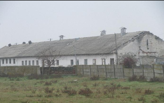 Doua terenuri intravilane si anexe in Maicanesti si Tataru, judetul Vrancea-6241522